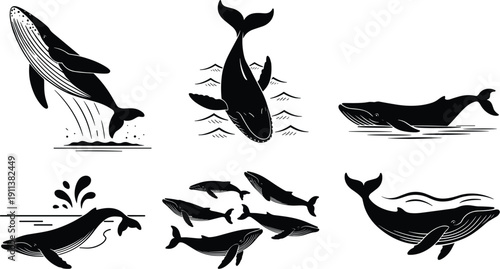 Stylized whale illustrations breaching, diving, swimming, pod behavior, marine wildlife art, ocean nature conservation, aquatic mammals, sea life