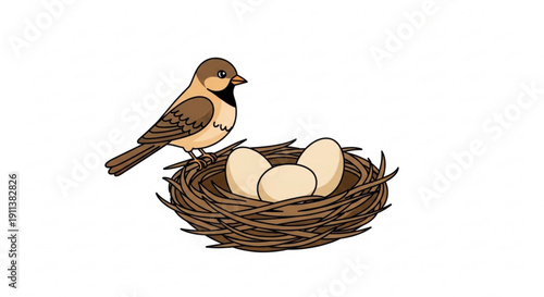 Bird Sitting on Nest with Eggs Isolated on White