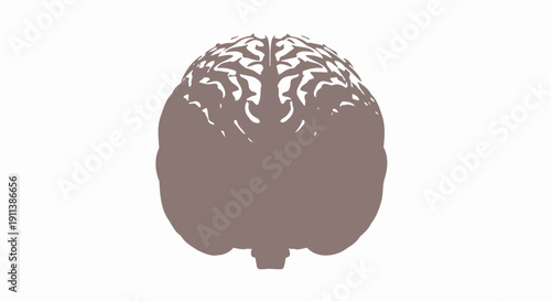 Anatomical illustration of a human brain showing detailed internal structures on a white background with a focus on human body organs.