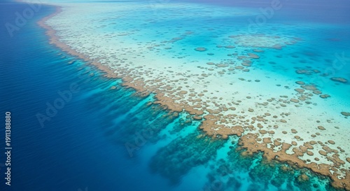 Aerial view of the great barrier reef showcasing its vibrant coral and marine life