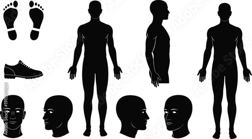 Human body silhouette collection, male anatomy front side views with head face foot and shoe icons vector illustration design