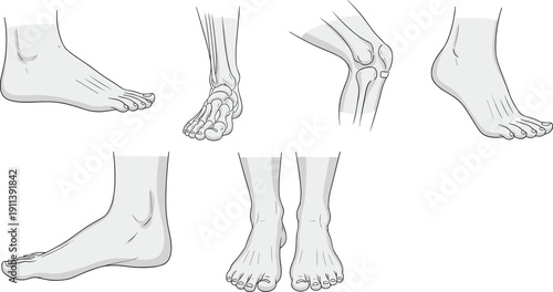 Human foot anatomy illustration set, ankle bones structure medical study drawings, orthopedic healthcare vector collection showing detailed foot positions design