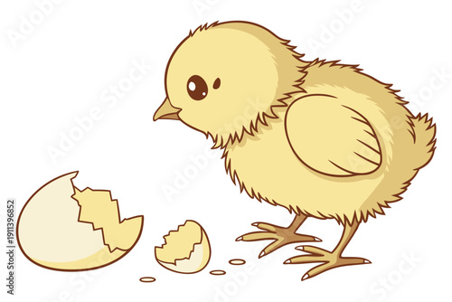 A cute cartoon chick standing next to a broken eggshell on a white background
