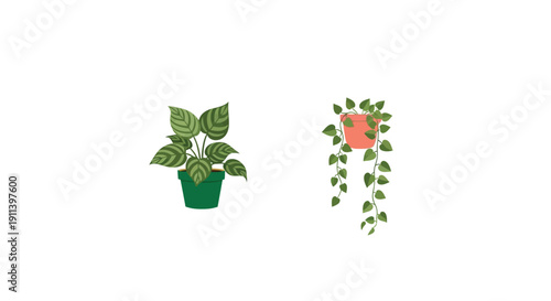 Collection of various potted indoor plants in a flat vector style