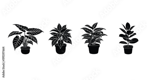 Black and white silhouettes of various potted indoor plants
