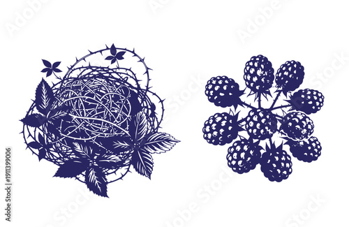 Grunge texture Blue silhouette illustration of thorny twigs with leaves and blackberries on white background for design elements Vintage Style