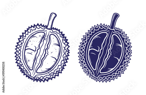 Grunge texture Durian fruit illustrations in blue and white on white background  exotic tropical fruit with spiky skin and creamy flesh Vintage Style