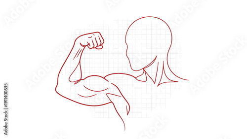 Minimalist outline illustration of a muscular male torso flexing a strong bicep in a fitness and bodybuilding concept on white.