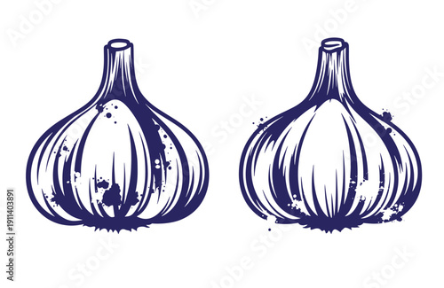 Grunge texture Two bulbs of garlic in a dark blue illustration style on a white background  culinary ingredients for cooking and recipe design Vintage Style