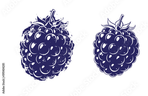 Grunge texture Two dark blue blackberry illustrations with white highlights on white background Vintage Style