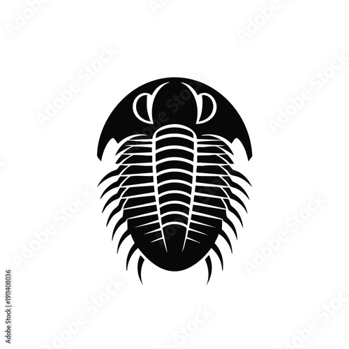 Black Silhouette of an Ancient Trilobite Fossil.