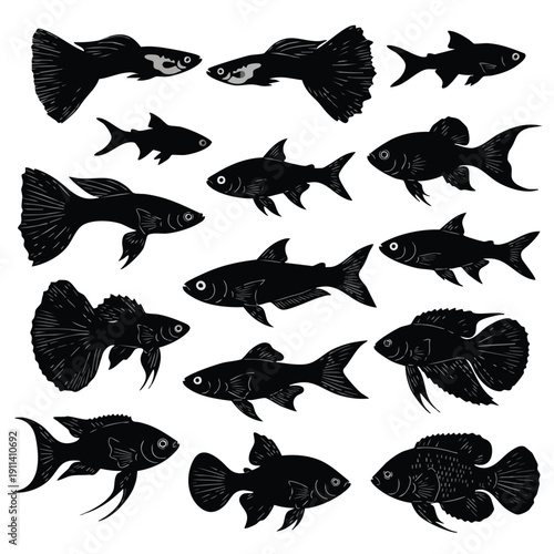 Collection of Silhouetted Aquarium Fish Species.