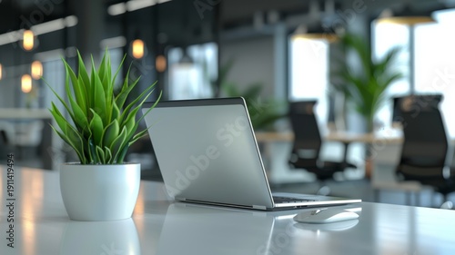 Sleek office setup with a laptop and vibrant green plant on a white desk, featuring out-of-focus chairs and windows in the background.