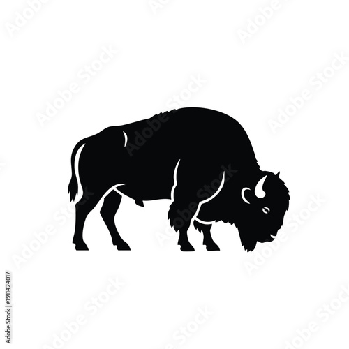 Silhouette of a Bison Grazing in a Field.