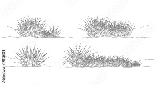 Set of four hand-drawn grass clumps, sketch style, isolated on white