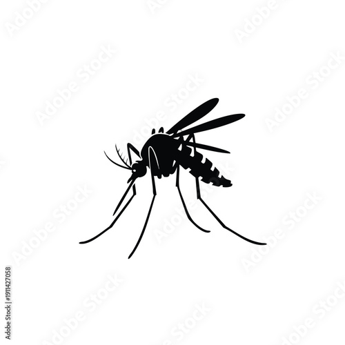 Silhouette of a Mosquito Insect with Detailed Wings and Legs.