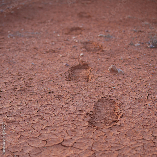 Human footprints on cracked soil, red clay of Australia. Dry, red-brown, cracked and dusty ground surface