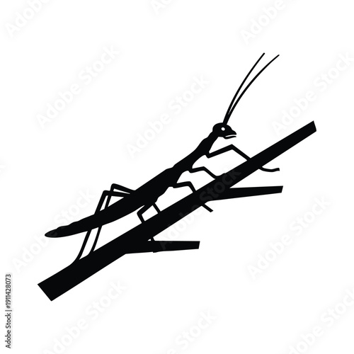 Silhouette of a praying mantis on a branch.