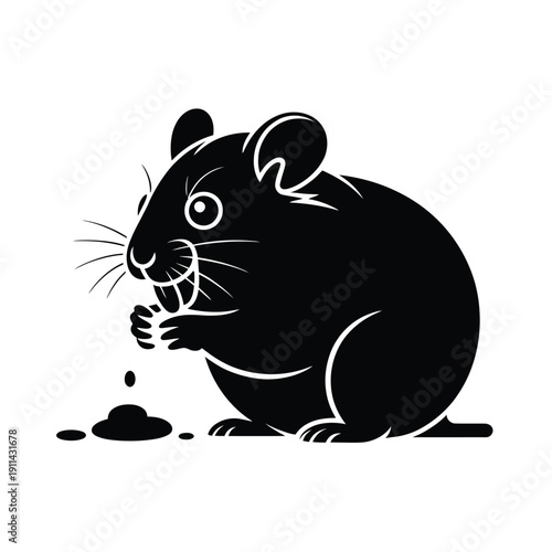 Black and white of a hamster eating food rodent des