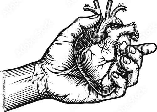 Hand holding an anatomical human heart detailed black and white vintage medical illustration