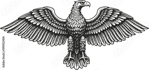 Illustration of majestic eagle with outstretched wings in detailed black and white engraving