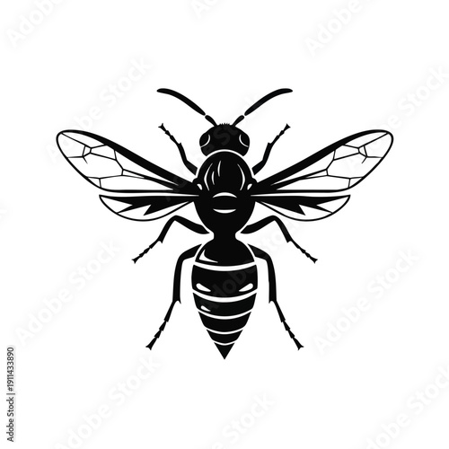 Stylized Black Wasp Insect Illustration Top View.