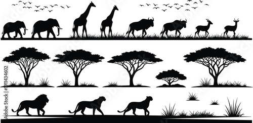 African safari wildlife silhouettes panorama, elephants giraffes antelopes and lions with acacia trees illustration, isolated savanna landscape design