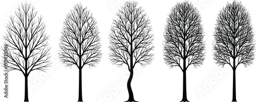 Bare tree silhouettes collection, winter deciduous botanical illustration set, isolated leafless forest forms, minimalist nature design elements