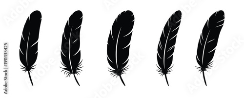 Feather silhouette vector collection set of various bird feathers isolated on white background for tribal ethnic and bohemian fashion design