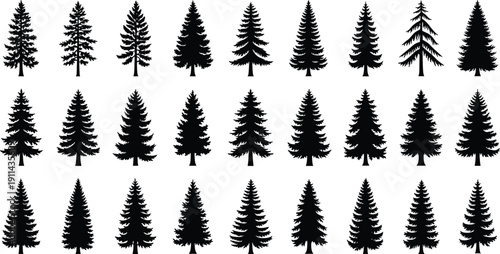 Black evergreen tree silhouettes collection, pine spruce and fir conifer icons illustration set, isolated forest symbols, minimalist nature design elements