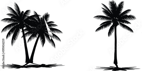 Black palm tree silhouettes set, tropical coconut palm illustration, isolated beach trees composition, minimalist summer island nature design elements