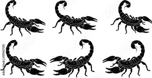 Black silhouette collection of dangerous scorpions, stinging desert arachnid set, predatory wildlife design elements for tattoo and halloween, isolated vector