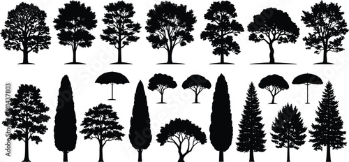 Black tree silhouettes collection, diverse deciduous and conifer landscape trees illustration set, isolated botanical shapes, natural environment design elements