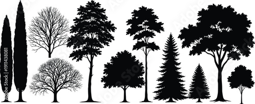Black tree silhouettes collection, mixed deciduous and conifer landscape trees illustration set, isolated botanical forms, natural environment design elements