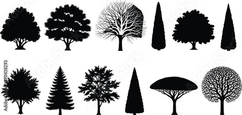 Black tree silhouettes collection, mixed deciduous and conifer tree types illustration set, isolated botanical shapes, natural landscape design elements