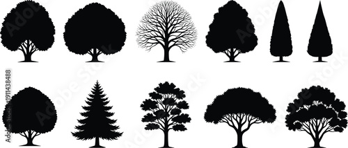 Black tree silhouettes set, deciduous conifer and cypress tree illustration collection, isolated botanical shapes, minimalist landscape and nature design elements
