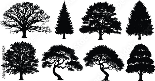 Collection of detailed black tree silhouettes including evergreen and deciduous forms, isolated on white background, natural forest illustration set
