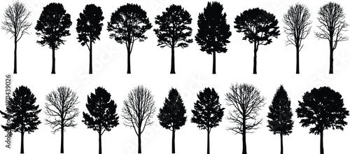 Collection of black tree silhouettes with deciduous, evergreen and leafless varieties, isolated on white background, detailed natural forest illustration set