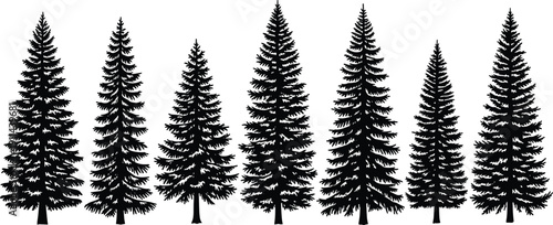 Silhouette collection of various pine and fir trees, evergreen forest spruce timber set, nature landscape design elements, isolated vector, wood