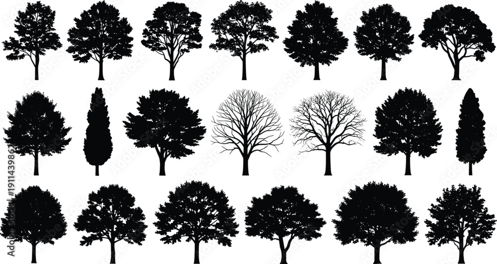 Fototapeta premium Large collection of black tree silhouettes with deciduous, evergreen and leafless varieties, isolated on white background, natural forest illustration set