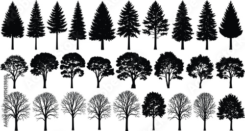 Large collection of black tree silhouettes including evergreen, deciduous and leafless trees, isolated on white background, forest illustration set