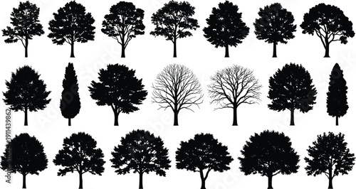 Large collection of black tree silhouettes with deciduous, evergreen and leafless varieties, isolated on white background, natural forest illustration set