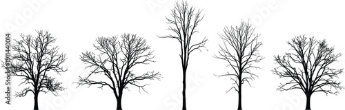 Leafless tree silhouettes collection, bare winter forest illustration set, isolated deciduous tree forms, minimalist seasonal nature design elements