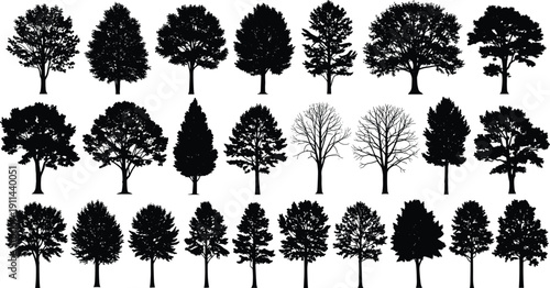 Large set of black tree silhouettes with various shapes and species, deciduous and evergreen trees isolated on white background illustration