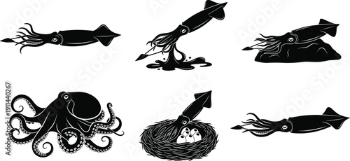 Silhouette collection of various squid species and large octopus, cephalopod marine life set with eggs, underwater ocean design elements, isolated vector (