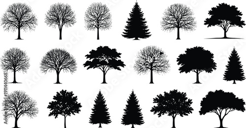 Set of diverse black tree silhouettes with deciduous and evergreen shapes, isolated on white background, natural forest illustration collection
