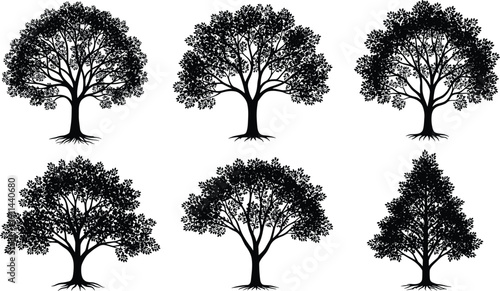 Set of detailed leafy tree silhouettes with roots, deciduous forest trees isolated on white background, botanical illustration for design use