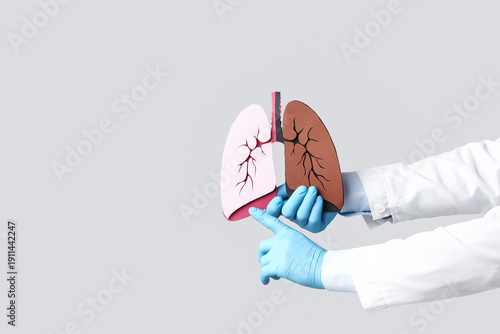 Cuadro en lienzo Hands of doctor with paper lungs of smoker on grey background