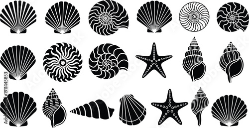 Black silhouette set of various seashells, starfish, and nautilus shells, isolated marine life collection on white background, ocean nature vector