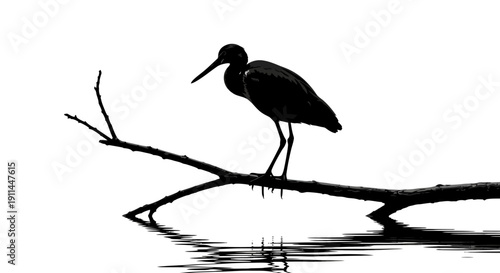 Black and white silhouette of a heron bird perched on a branch above water with reflections, creating a serene and minimalist nature scene.